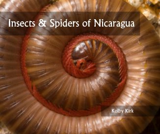 Insects & Spiders of Nicaragua book cover