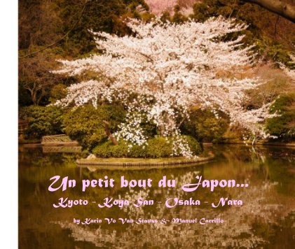 Un petit bout du Japon, Kyoto - Koya San - Osaka - Nara book cover