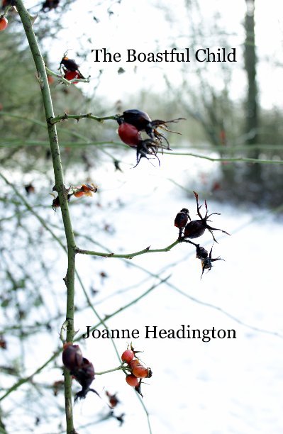 Ver The Boastful Child por Joanne Headington