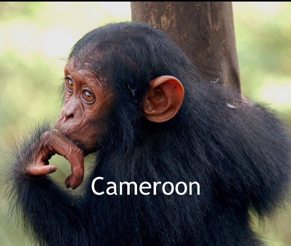 View Cameroon by Jane Leakey