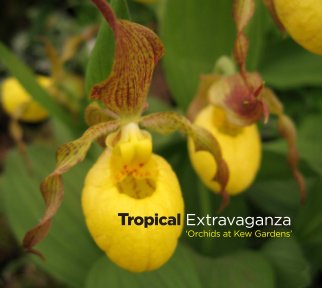 Tropical Extravaganza book cover