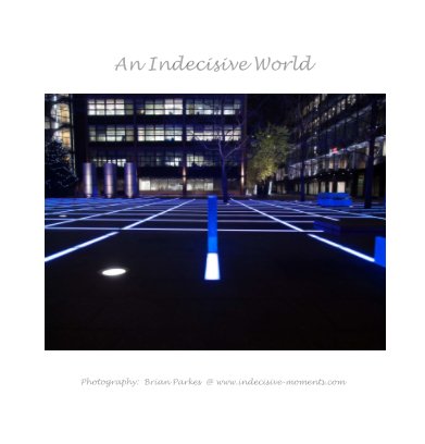 An Indecisive World book cover
