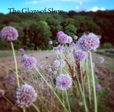 The Glow of Slow book cover