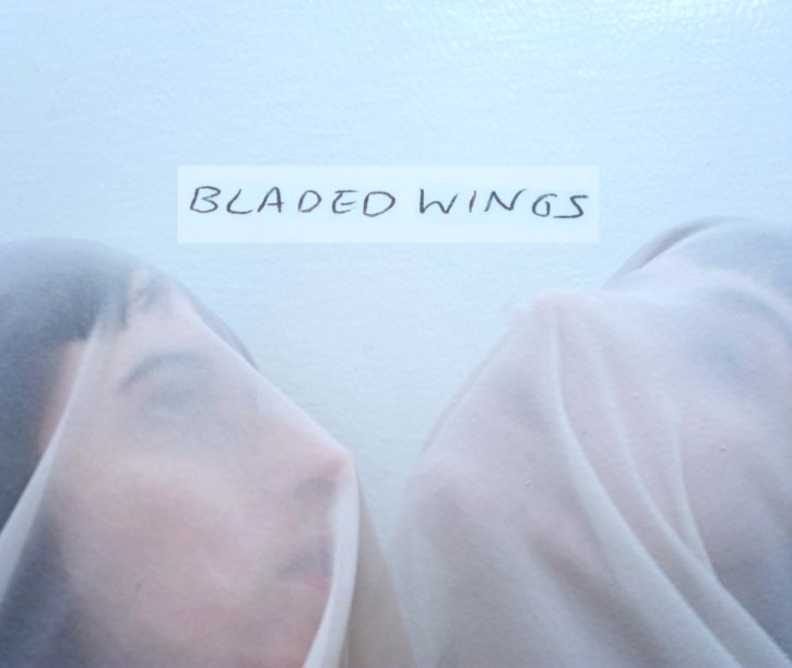 Visualizza Bladed Wings di Melanie O'Neal