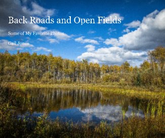 Back Roads and Open Fields book cover