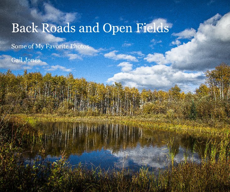 View Back Roads and Open Fields by Gail Jones