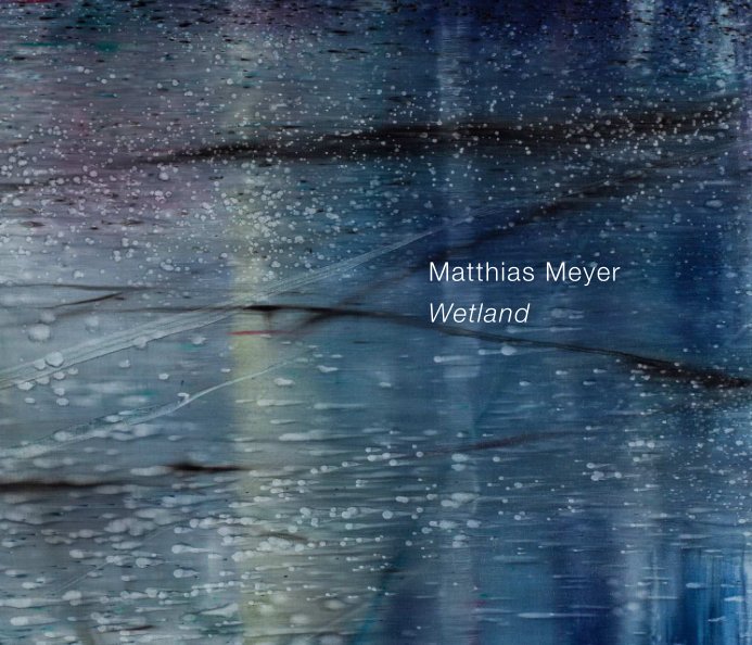 View Matthias Meyer by Danese/Corey
