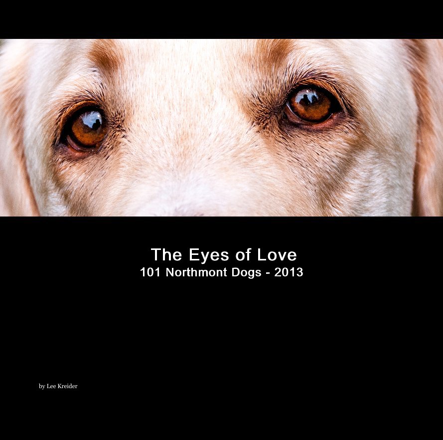 View The Eyes of Love 101 Northmont Dogs - 2013 by Lee Kreider