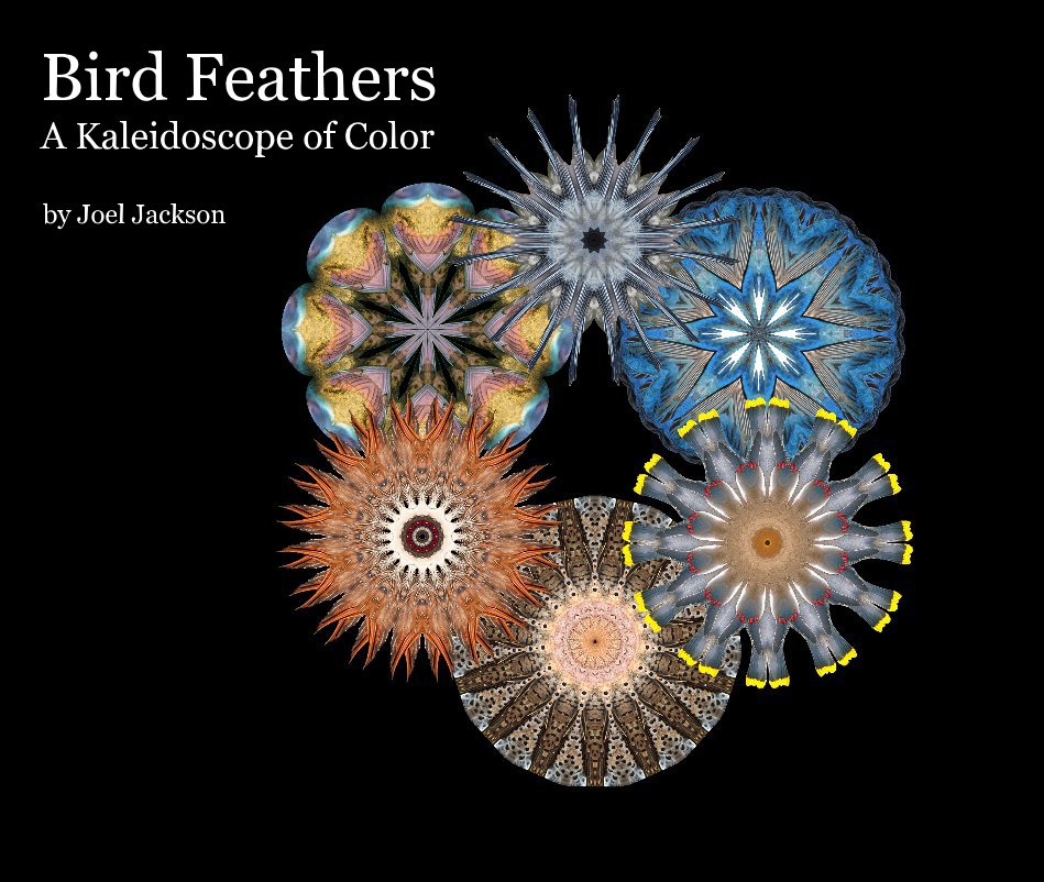 Ver Bird Feathers A Kaleidoscope of Color por Joel Jackson