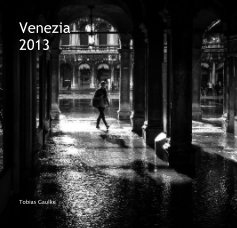 Venezia 2013 book cover