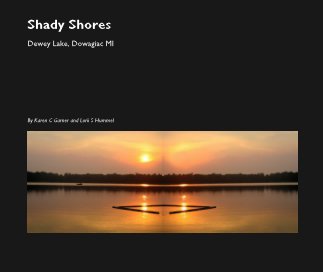 Shady Shores book cover