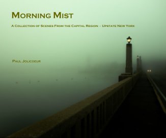 MORNING MIST book cover