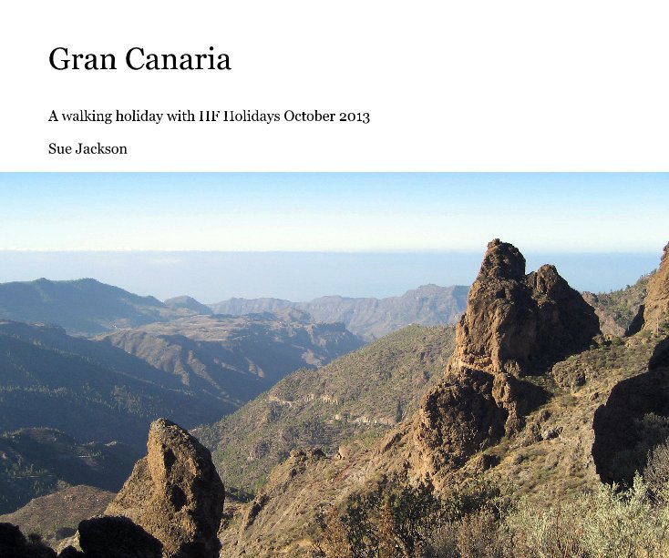 View Gran Canaria by Sue Jackson