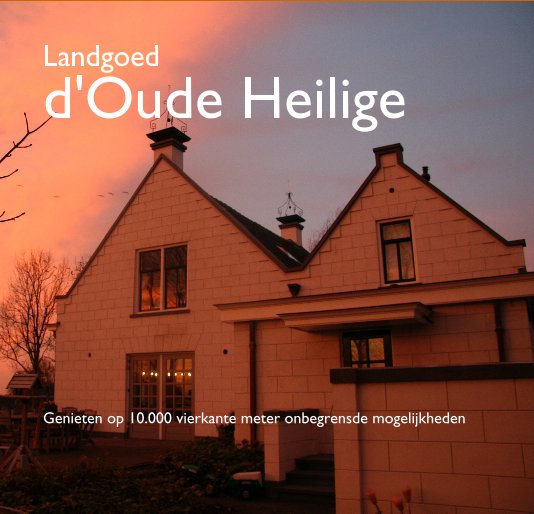View Landgoed d'Oude Heilige by Ed Barzilaij