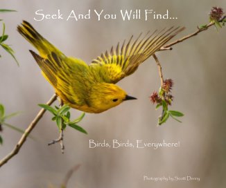 Seek And You Will Find... book cover