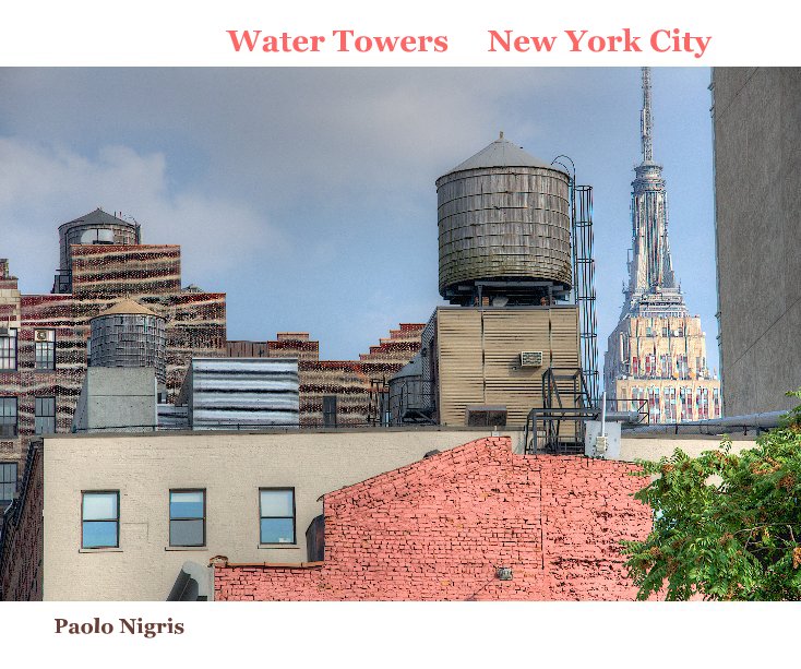 View Water Towers New York City by Paolo Nigris