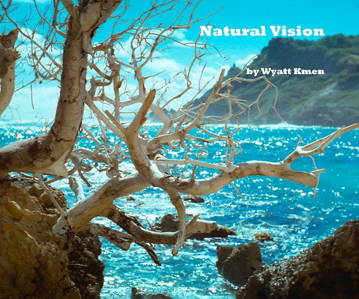 View Natural Vision (3rd Edition) by Wyatt Kmen