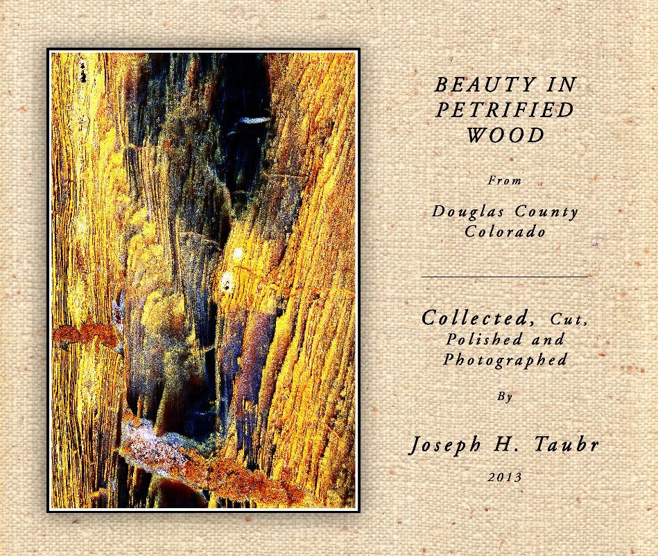 Bekijk BEAUTY OF PETRIFIED WOOD op JOSEPH H.  TAUBR