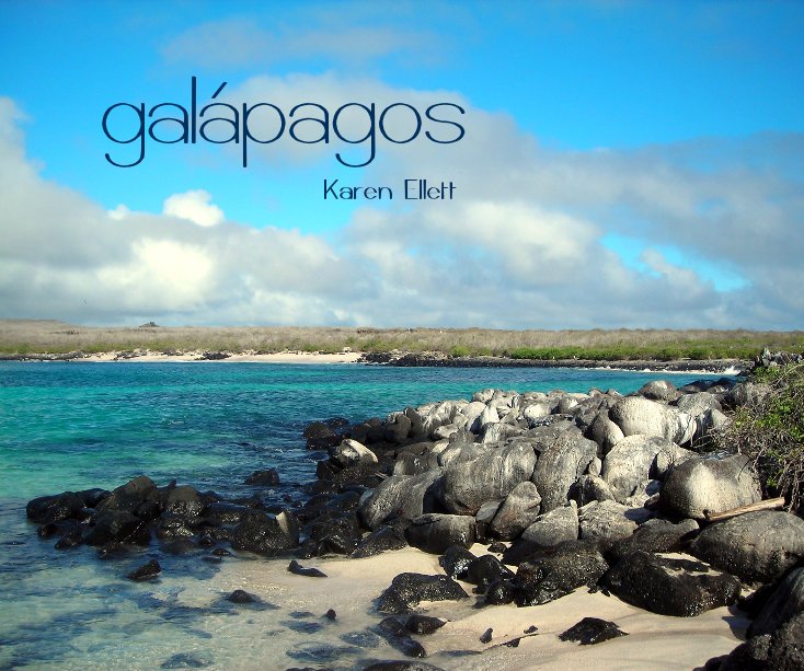 View Galapagos by Karen Ellett