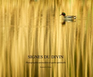 Signes du Divin book cover