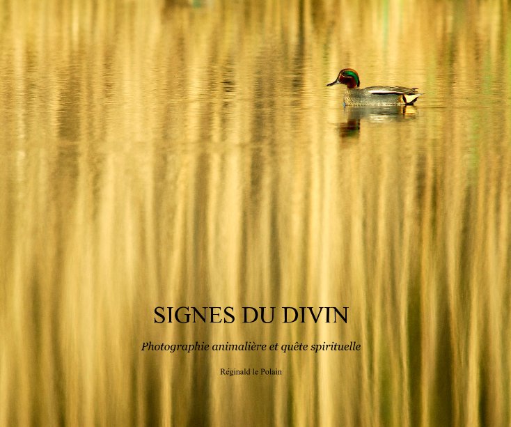 View Signes du Divin by Réginald le Polain