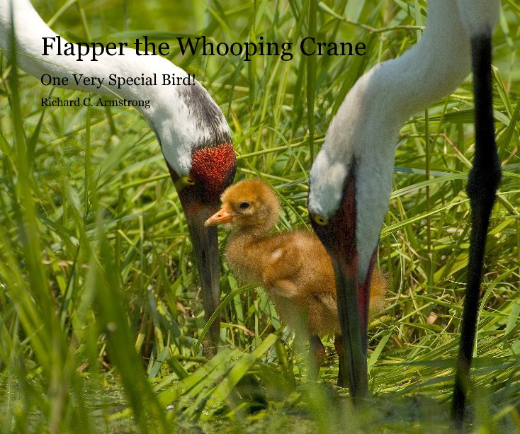 View Flapper the Whooping Crane by Richard C. Armstrong