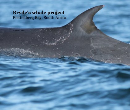 Bryde's whale project Plettenberg Bay, South Africa book cover