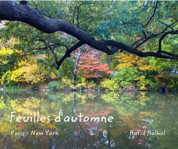 View Feuilles d'automne by de Hafid Halhol