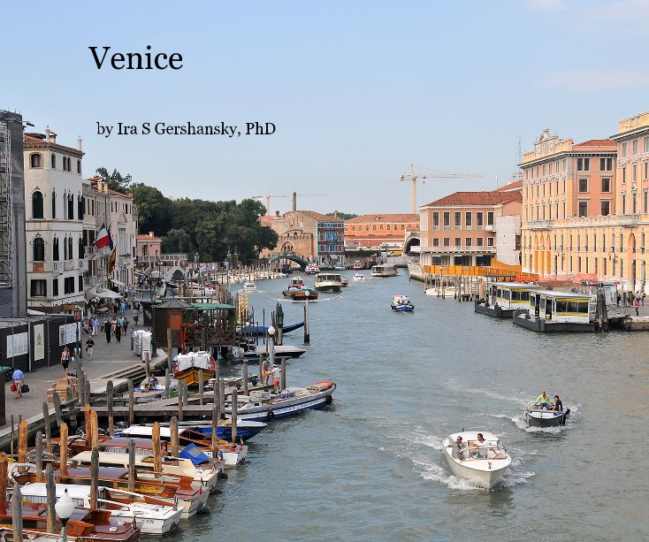 View Venice by Ira S Gershansky, PhD
