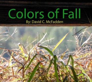 Colors of Fall book cover