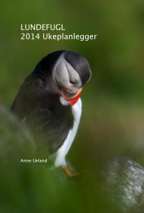 LUNDEFUGL 2014 Ukeplanlegger book cover