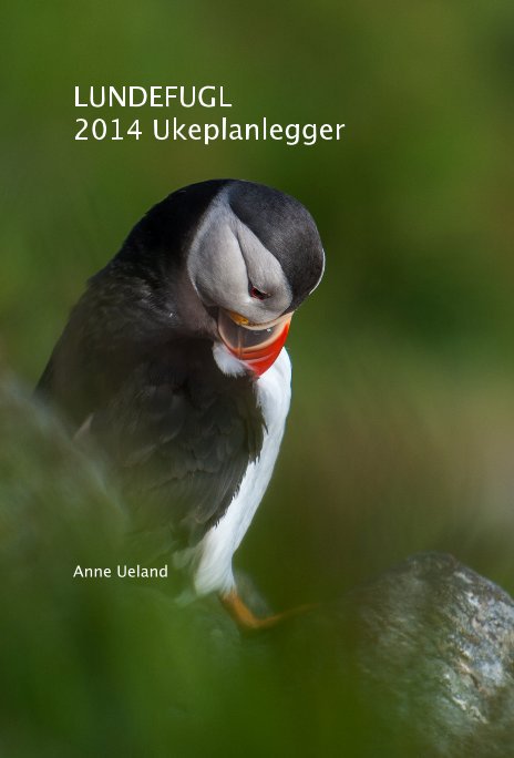 View LUNDEFUGL 2014 Ukeplanlegger by Anne Ueland