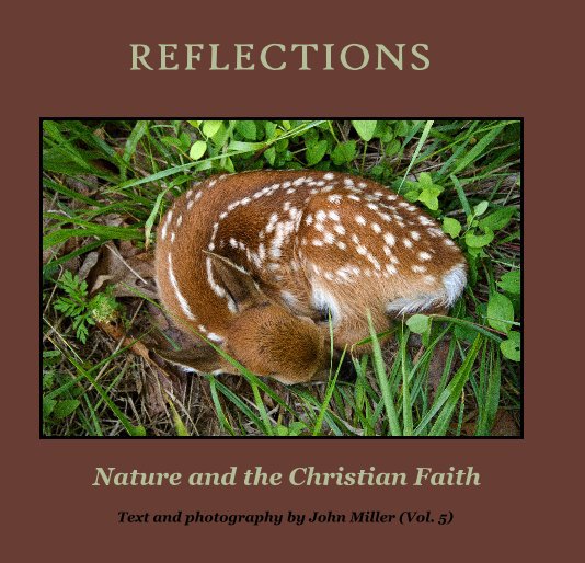 View REFLECTIONS by Text and photography by John Miller (Vol. 5)
