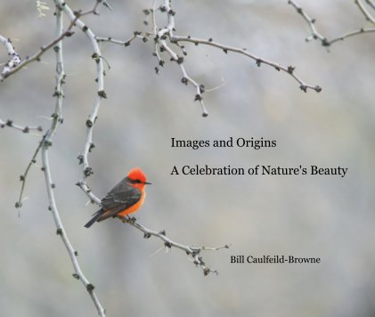 Images and Origins A Celebration of Nature's Beauty book cover