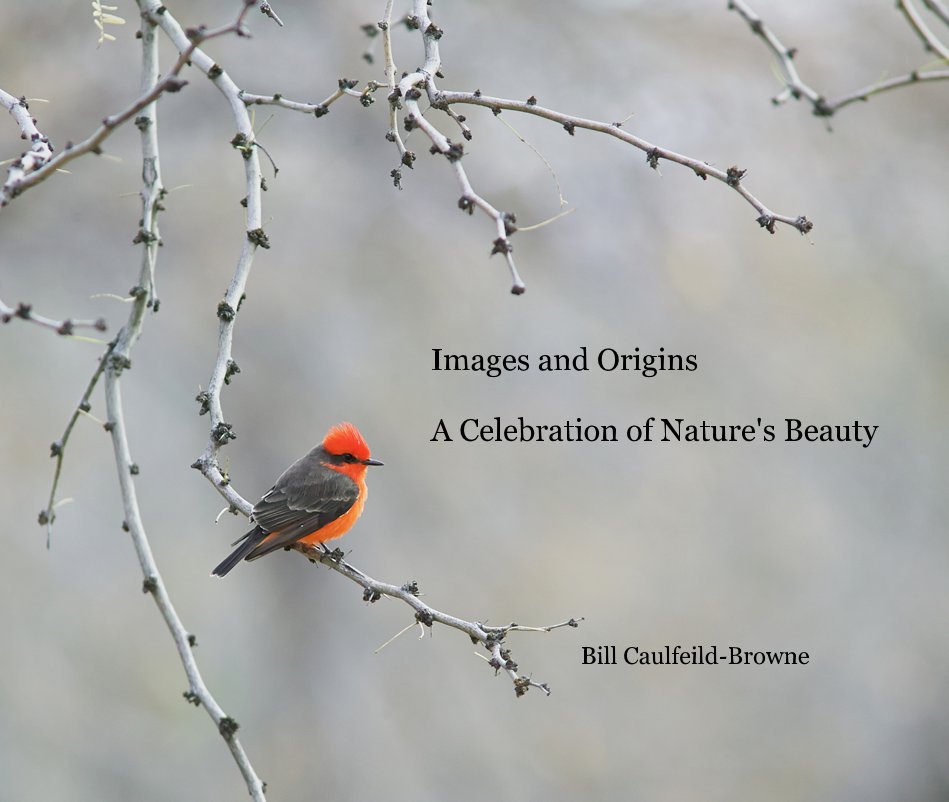 View Images and Origins A Celebration of Nature's Beauty by Bill Caulfeild-Browne
