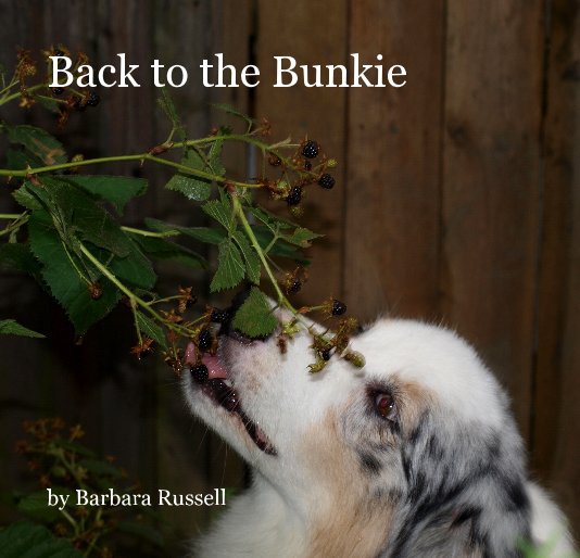 View Back to the Bunkie by Barbara Russell