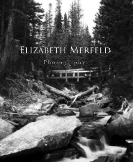 Elizabeth Merfeld Photography book cover