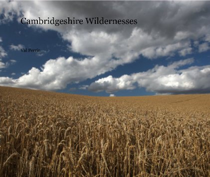 Cambridgeshire Wildernesses book cover