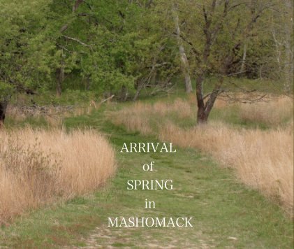 ARRIVAL of SPRING in MASHOMACK book cover