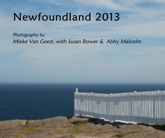 Newfoundland 2013 book cover