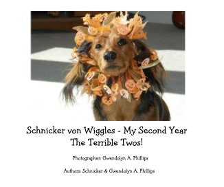 Schnicker von Wiggles - My Second Year The Terrible Twos! book cover