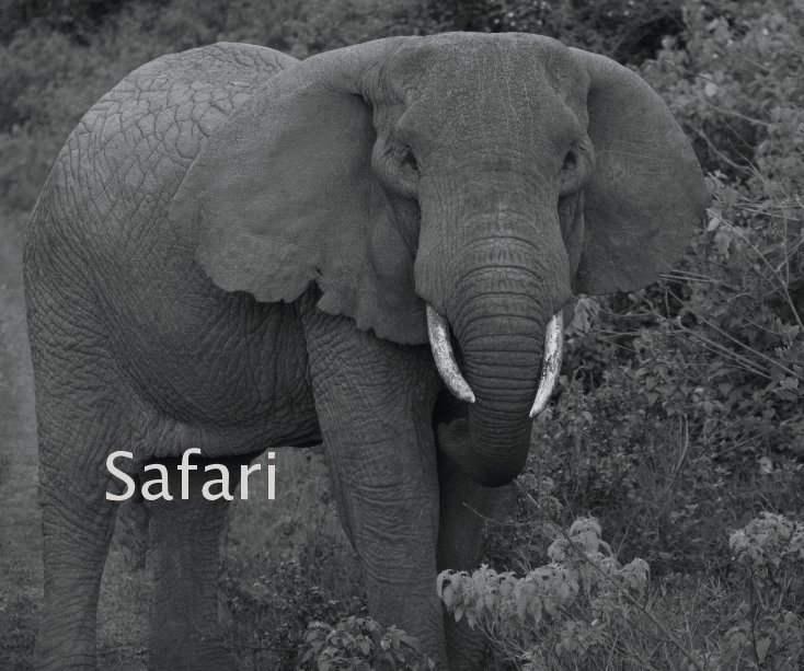 Ver Safari por Photography By Michael Lanning