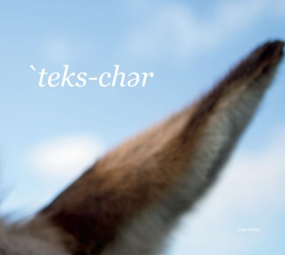 'teks-chər book cover