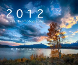 2012 - A Year In Photography book cover