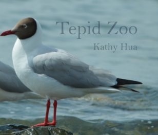 Tepid Zoo book cover