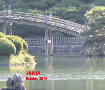 JAPAN 2013 book cover
