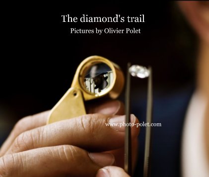 The diamond's trail book cover