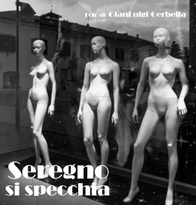 Seregno si specchia book cover