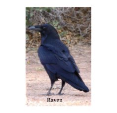 Raven book cover