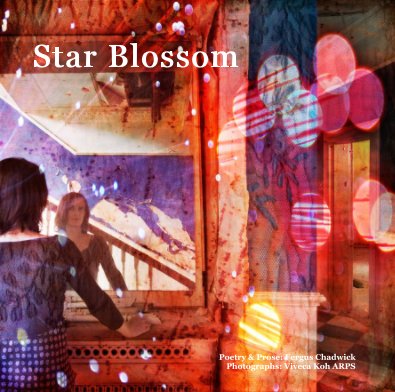 Star Blossom book cover